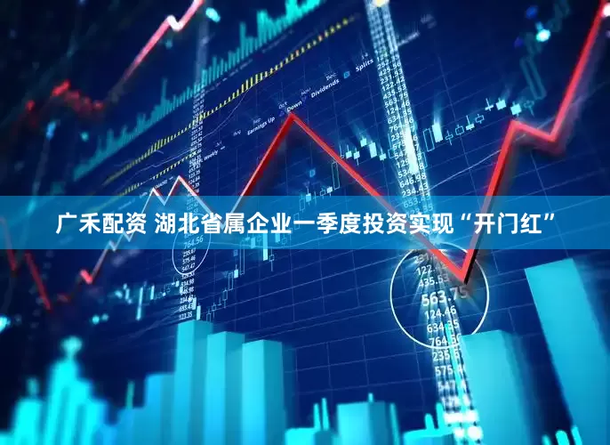 广禾配资 湖北省属企业一季度投资实现“开门红”