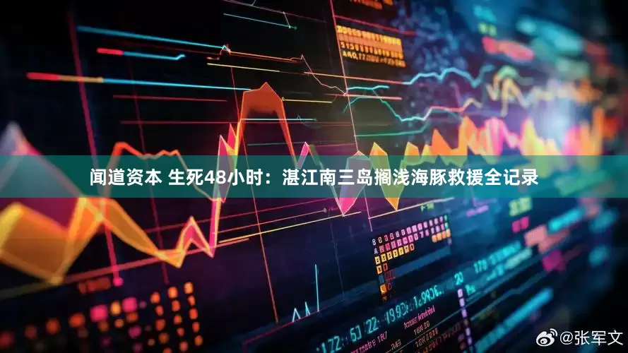闻道资本 生死48小时：湛江南三岛搁浅海豚救援全记录