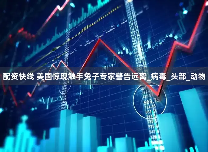 配资快线 美国惊现触手兔子专家警告远离_病毒_头部_动物
