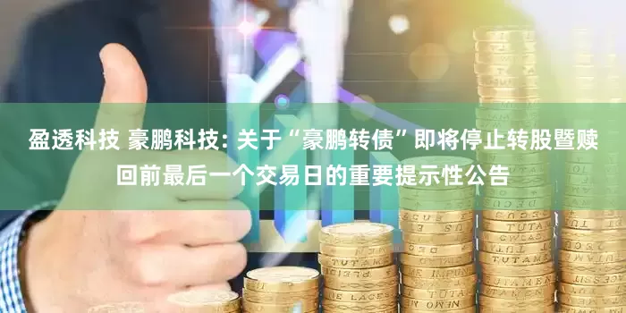 盈透科技 豪鹏科技: 关于“豪鹏转债”即将停止转股暨赎回前最后一个交易日的重要提示性公告