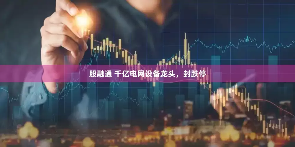 股融通 千亿电网设备龙头，封跌停